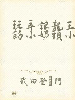 玩弄银龙王粉嫩的小奶头小说