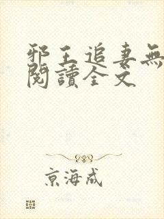 邪王追妻无删减阅读全文