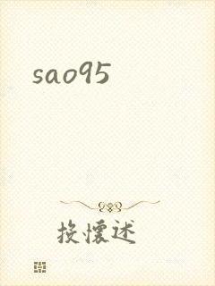 sao95封面