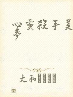 心灵杀手美国噩梦封面