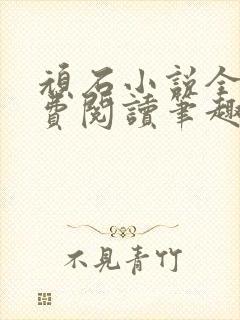 顽石小说全文免费阅读笔趣阁