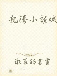 龙腾小说城封面