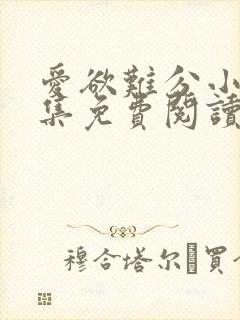 爱欲难分小说全集免费阅读封面