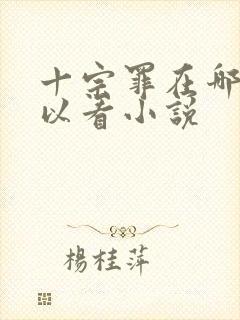 十宗罪在哪里可以看小说封面