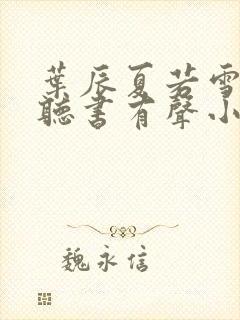 叶辰夏若雪孙怡听书有声小说