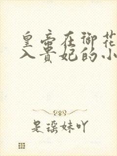 皇帝在御花园进入贵妃的小说