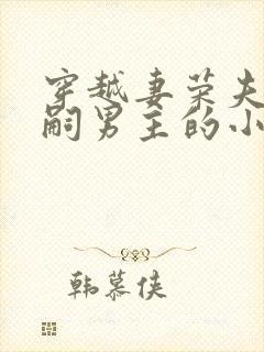 穿越妻荣夫贵绝嗣男主的小说