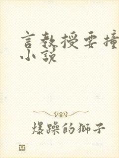 言教授要撞坏了小说