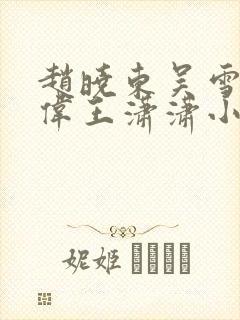 赵晓东吴雪晴郑伟王潇潇小说名字