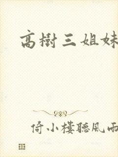 高树三姐妹小说封面