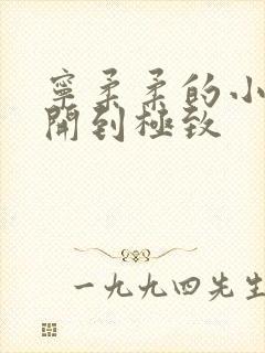 宁柔柔的小泬撑开到极致