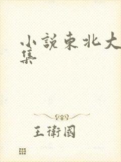 小说东北大炕全集