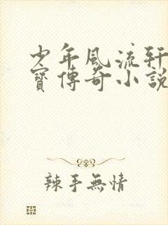 少年风流轩辕大宝传奇小说