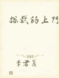 总裁的上门女婿封面