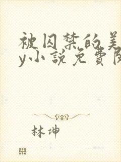 被囚禁的美人by小说免费阅读