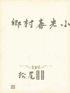 乡村春光小说