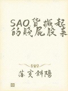 SAO货撅起你的贱屁股来