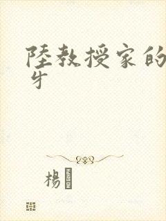 陆教授家的小月牙