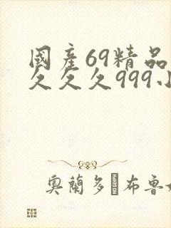 国产69精品久久久久999小说