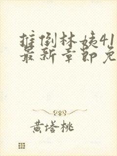 推倒林姨41章最新章节免费阅读笔趣阁