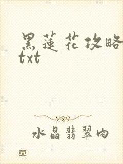 黑莲花攻略手册txt