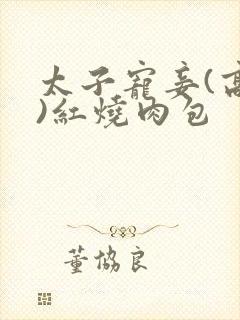 太子宠妾(高肉)红烧肉包