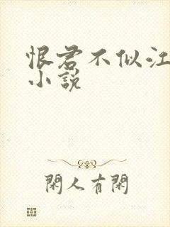 恨君不似江楼月小说