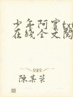 少年阿宾txt在线全文阅读