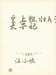 皇上粗壮h灌满太子妃封面