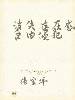 消失存在感消失自由侵犯封面