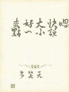 爽好大快嗯～轻点～小说