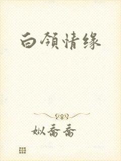 白领情缘封面