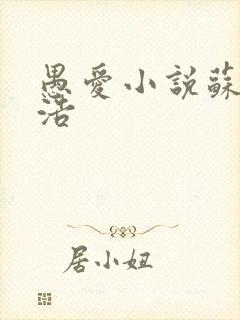 愚爱小说苏倩孙浩