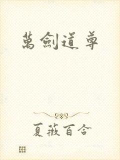 万剑道尊封面