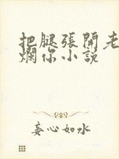 把腿张开老子臊烂你小说