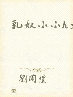 乳奴小小h文