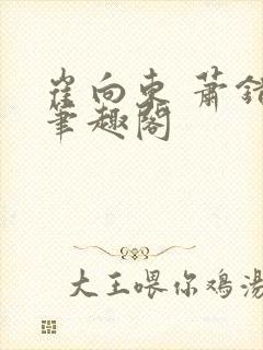 崔向东 萧错 笔趣阁