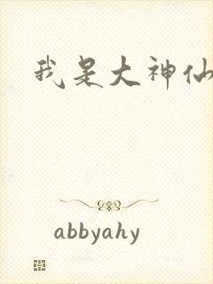 我是大神仙小说