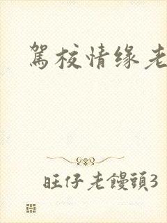 驾校情缘老赵封面