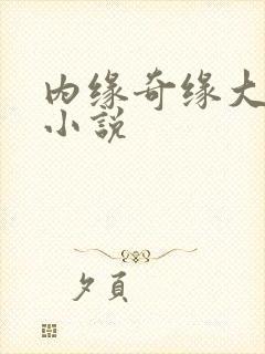 内缘奇缘大团圆小说