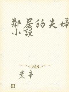 邻居的夫妇交换小说