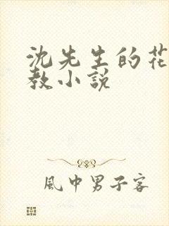 沈先生的花式管教小说封面