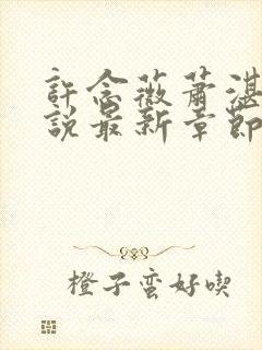 许念薇萧湛明小说最新章节免费阅读