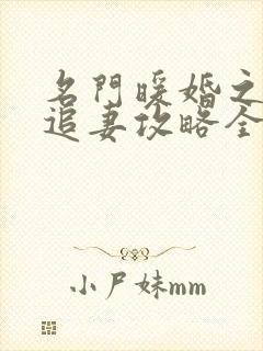 名门暖婚之权爷追妻攻略全文免费阅读