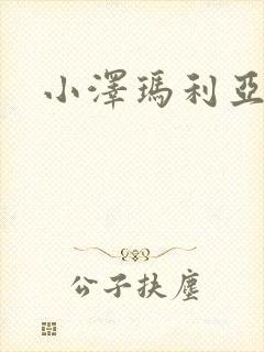 小泽玛利亚作品封面