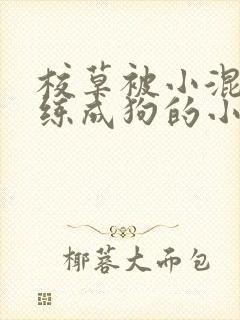 校草被小混混训练成狗的小说