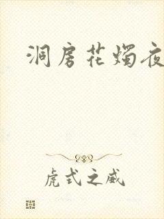 洞房花烛夜小说