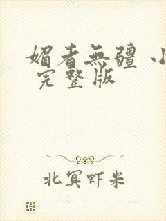 媚者无疆 小说 完整版封面