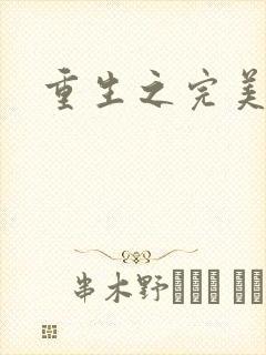 重生之完美一生封面