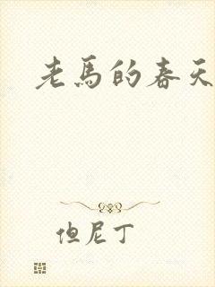 老马的春天封面